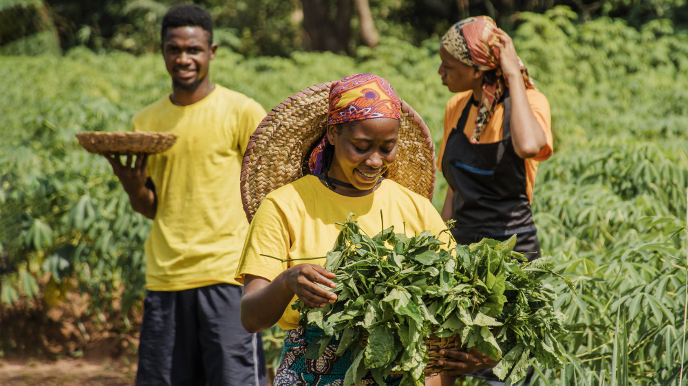 Farmer Success Story