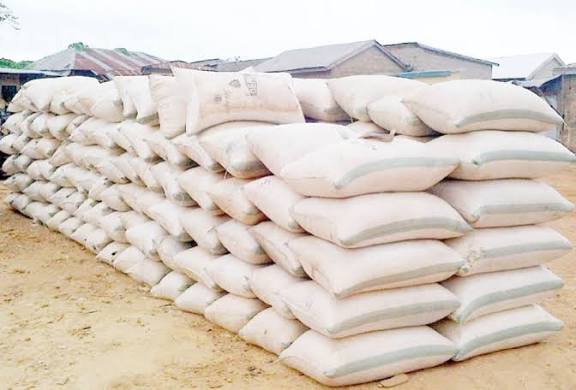 🌽 Corn (Maize – Raw, Dried)