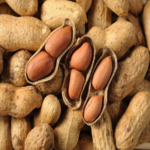 🥜 Groundnuts (Raw, Unshelled & Shelled)